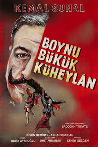 Poster for Boynu Bükük Küheylan