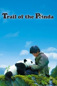 Poster 4