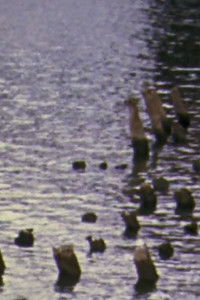 Poster for Doppelsternsystem