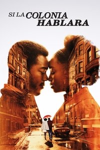 Poster 38
