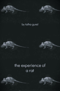 The Experience of a Rat
