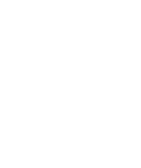 Logo 21