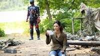 Zari