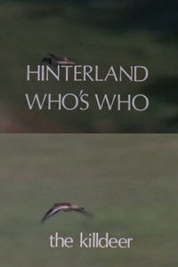 Poster for Hinterland Who's Who: Killdeer