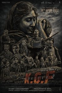 Poster 13