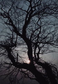 Street Film Part VII