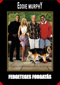 Poster 16