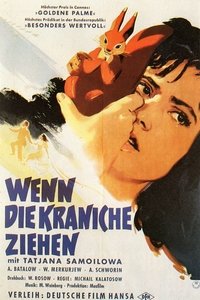 Poster 16