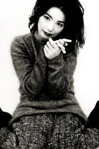 Björk's Greatest Hits: Volumes 1993-2003