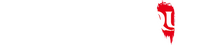 Logo 15