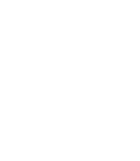Logo 12
