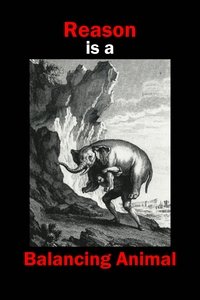 Poster for Reason is a Balancing Animal