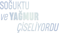 Logo 0