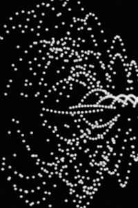 Poster for 3/78 (Objects and Transformations)