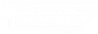 Logo 60