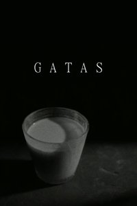 Poster for Gatas