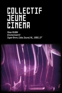 Poster for Environment II