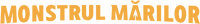 Logo 29