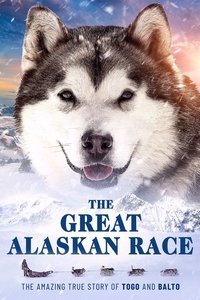 Poster 6