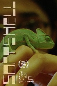 Poster 2