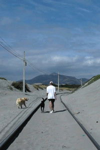 Poster for In Your Search