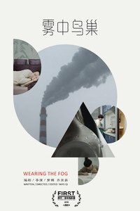 Poster for Wearing the Fog