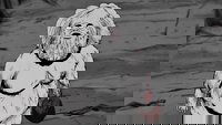 Backdrop 0