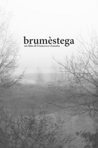 Poster for brumèstega