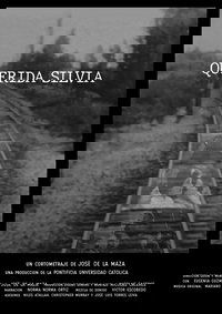 Dear Silvia