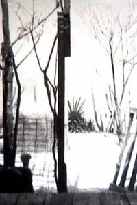 Poster for 3’35” de Bonheur