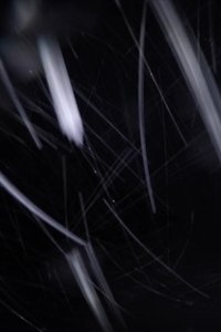 Poster for Inside the Microtubule