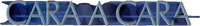 Logo 17