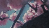 Backdrop 1