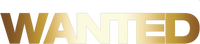 Logo 9