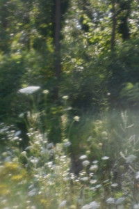 Poster for un pianto