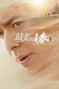 Poster for Perfect Youth