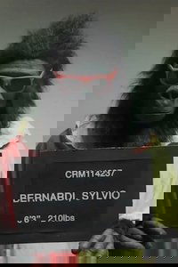 Sylvio Bernardi