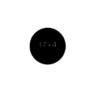 Logo - 17+4