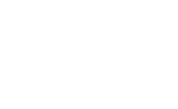Logo 81