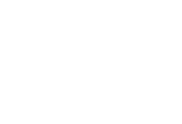 Logo 81