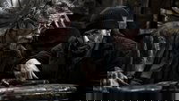 Backdrop 20