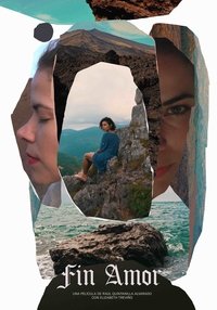 Poster for Fin Amor