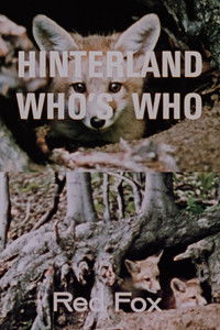Poster for Hinterland Who's Who: Red Fox