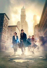 Poster 241