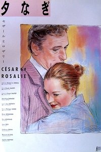 Poster 16
