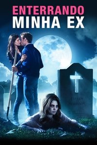 Poster 8