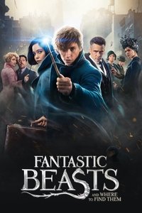 Poster 248