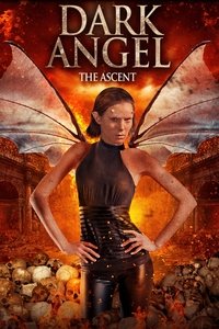 Poster 5