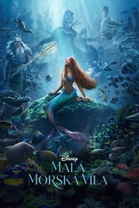 Poster 87