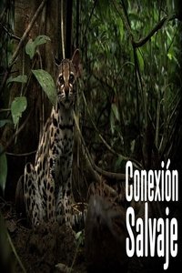 Poster for Wild Connection